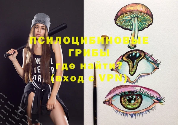кокс Абаза