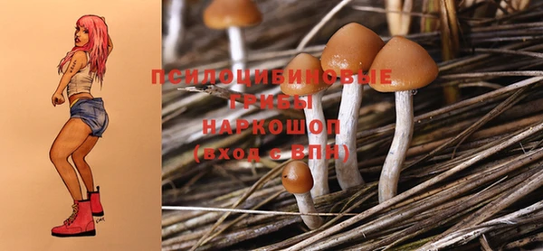PSILOCYBIN Абинск