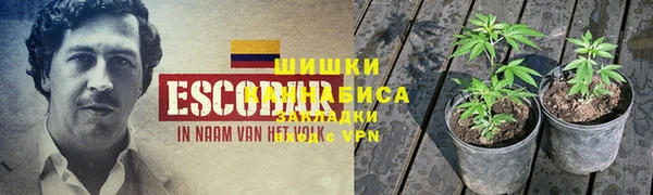 PSILOCYBIN Абинск