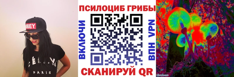 МЕГА tor  купить наркотики сайты  Красноармейск  Галлюциногенные грибы мицелий 